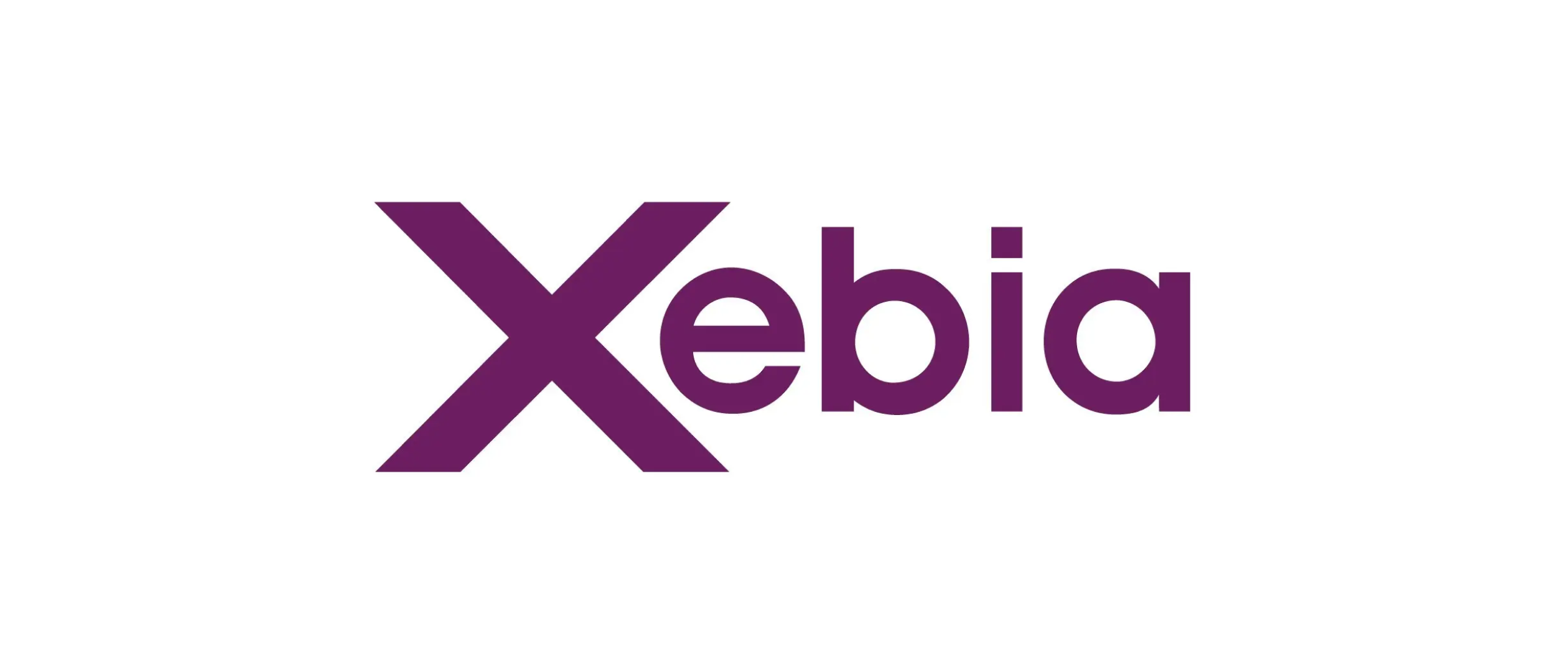 Xebia USA Inc