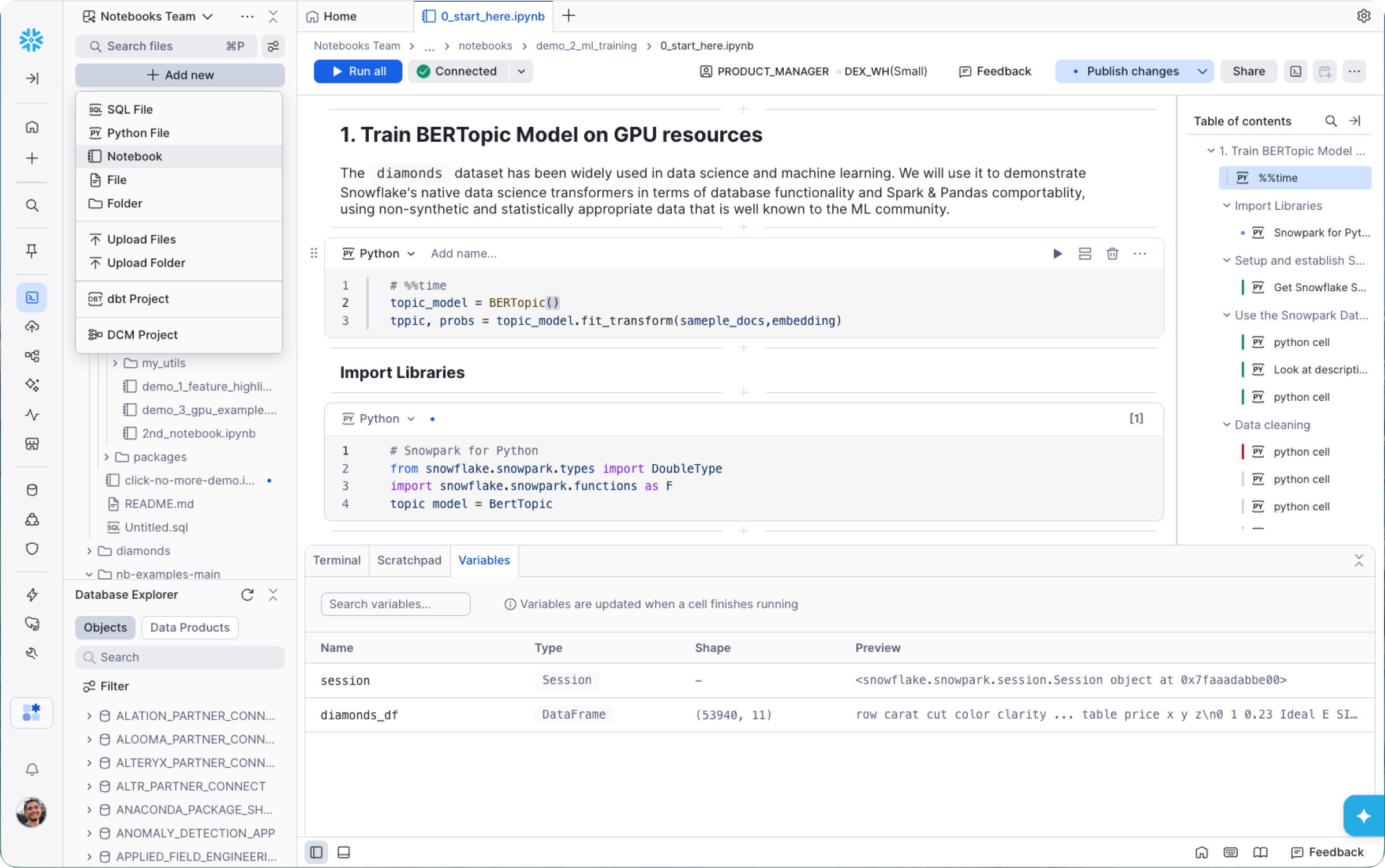 Screenshot of Snowflake Notebooks