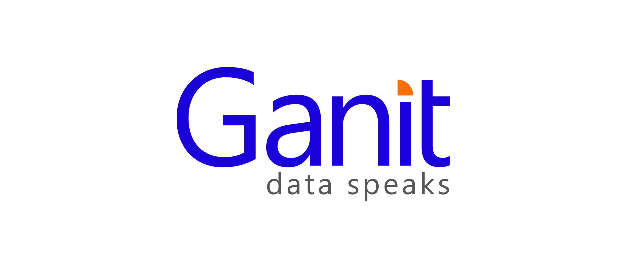 Ganit Business Private Solutions