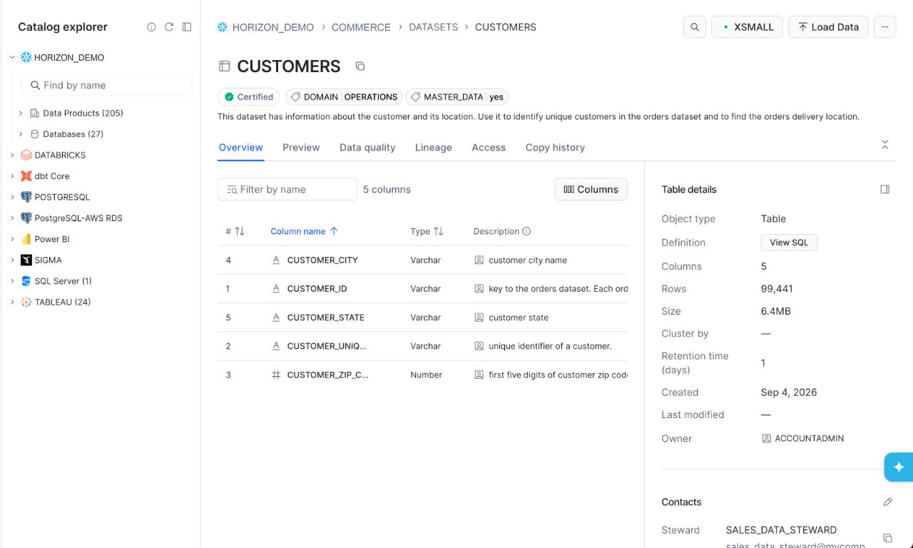 Screenshot of a data catalog interface showing the CUSTOMERS dataset overview with column details and table metadata