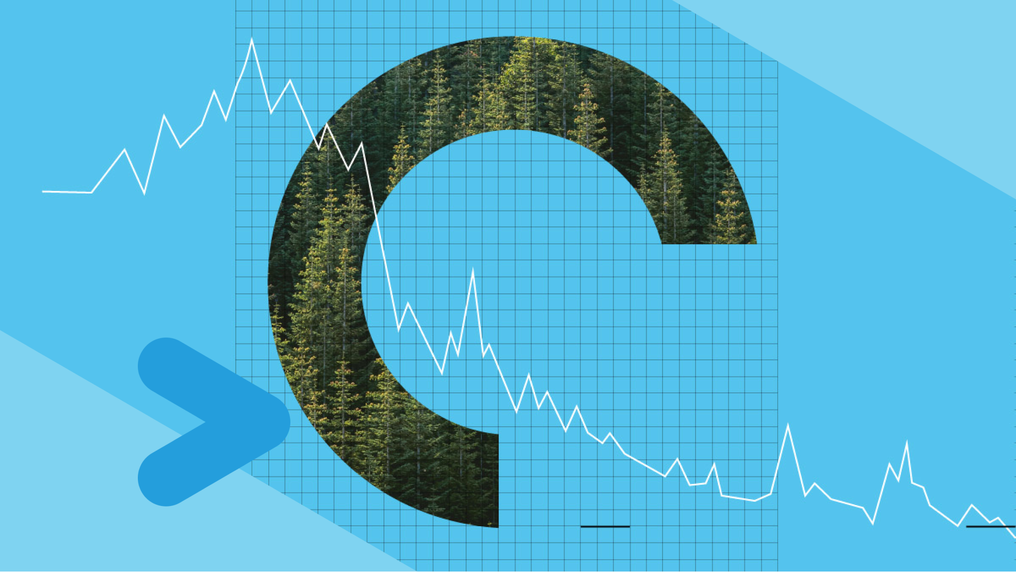 trees in half a circle 