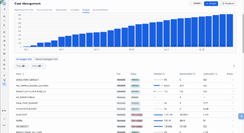 FinOps on Snowflake: Built-In Cost and Performance Control