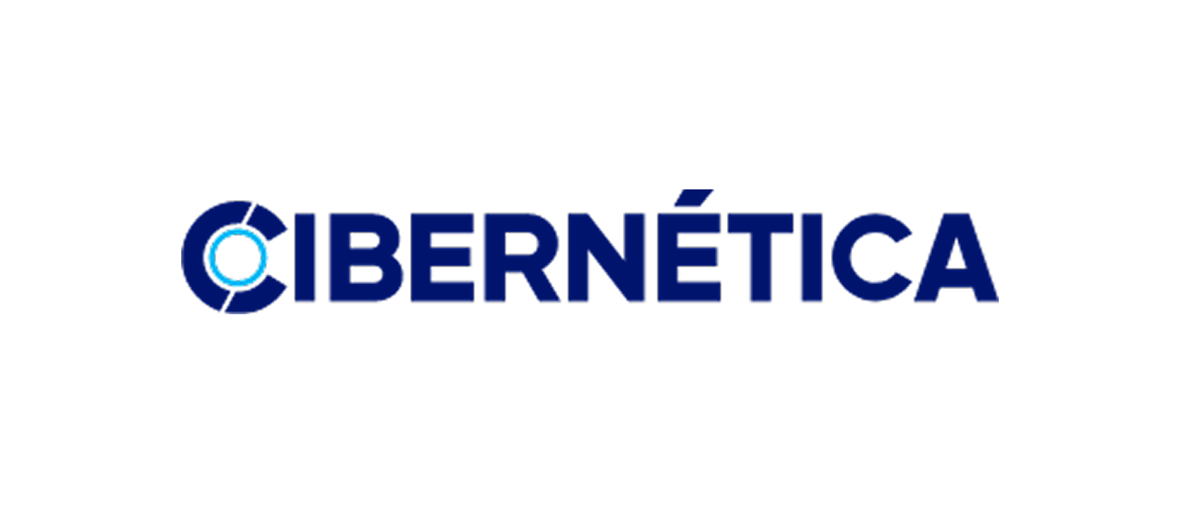 CIBERNETICA LLC