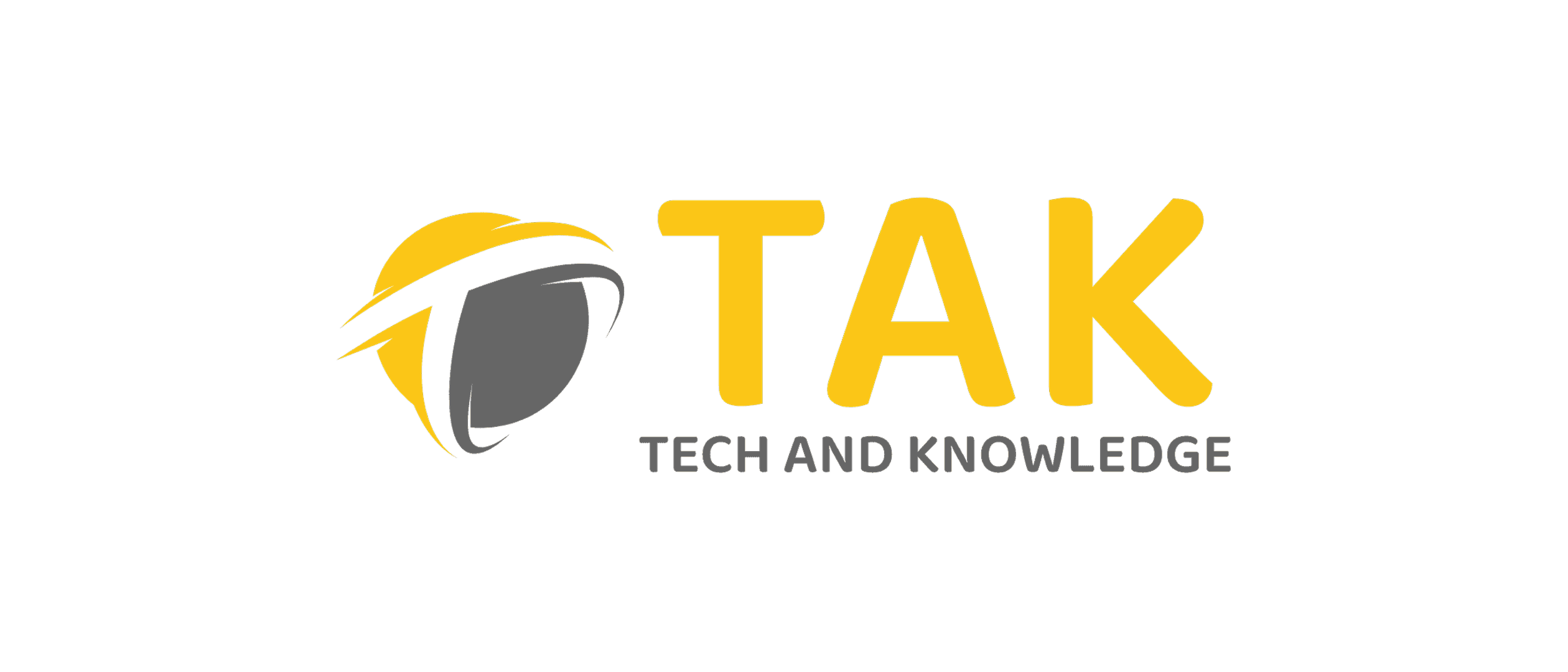 Tech And Knowledge SAS