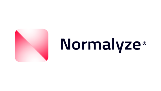 Normalyze Inc. logo
