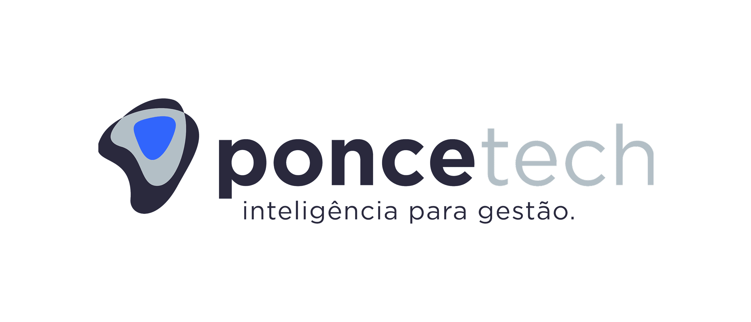 Ponce Tech Consultoria Ltda