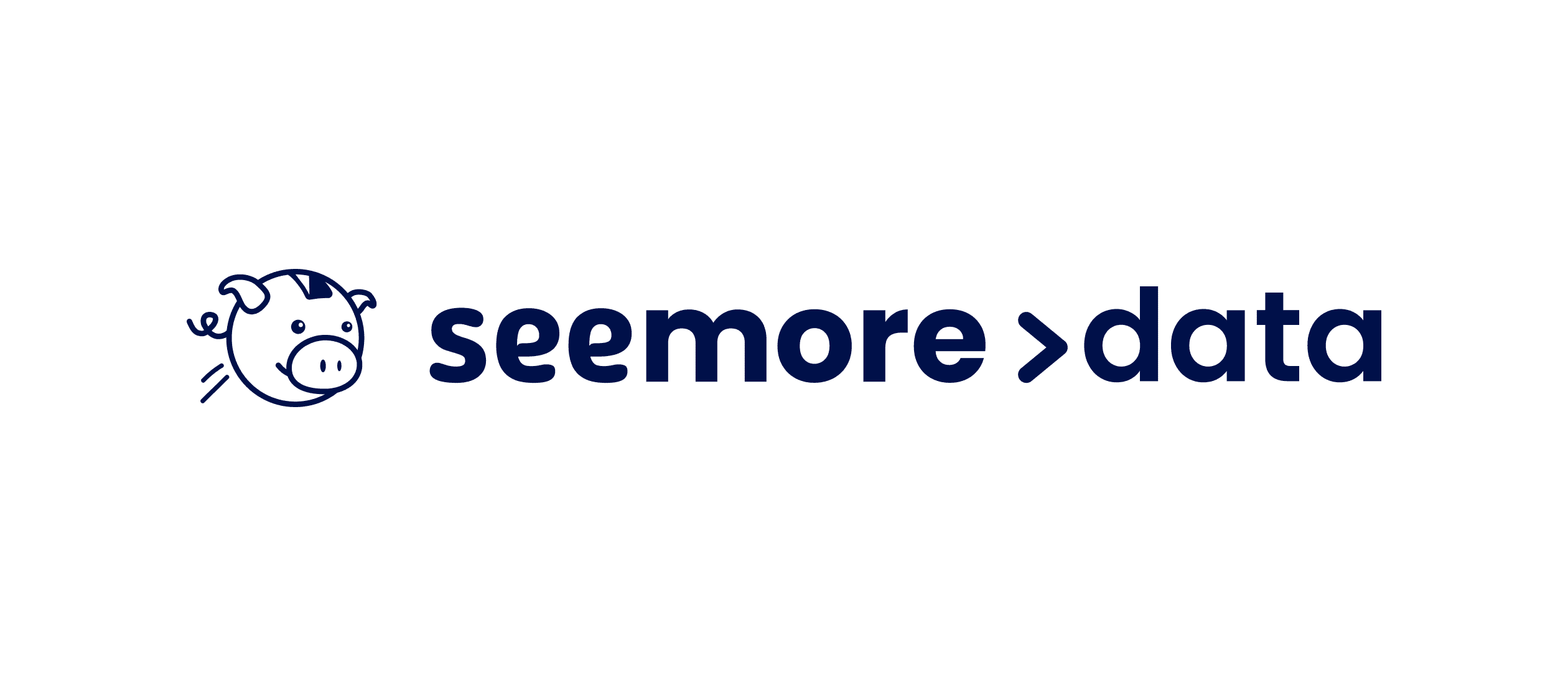 Seemore Data