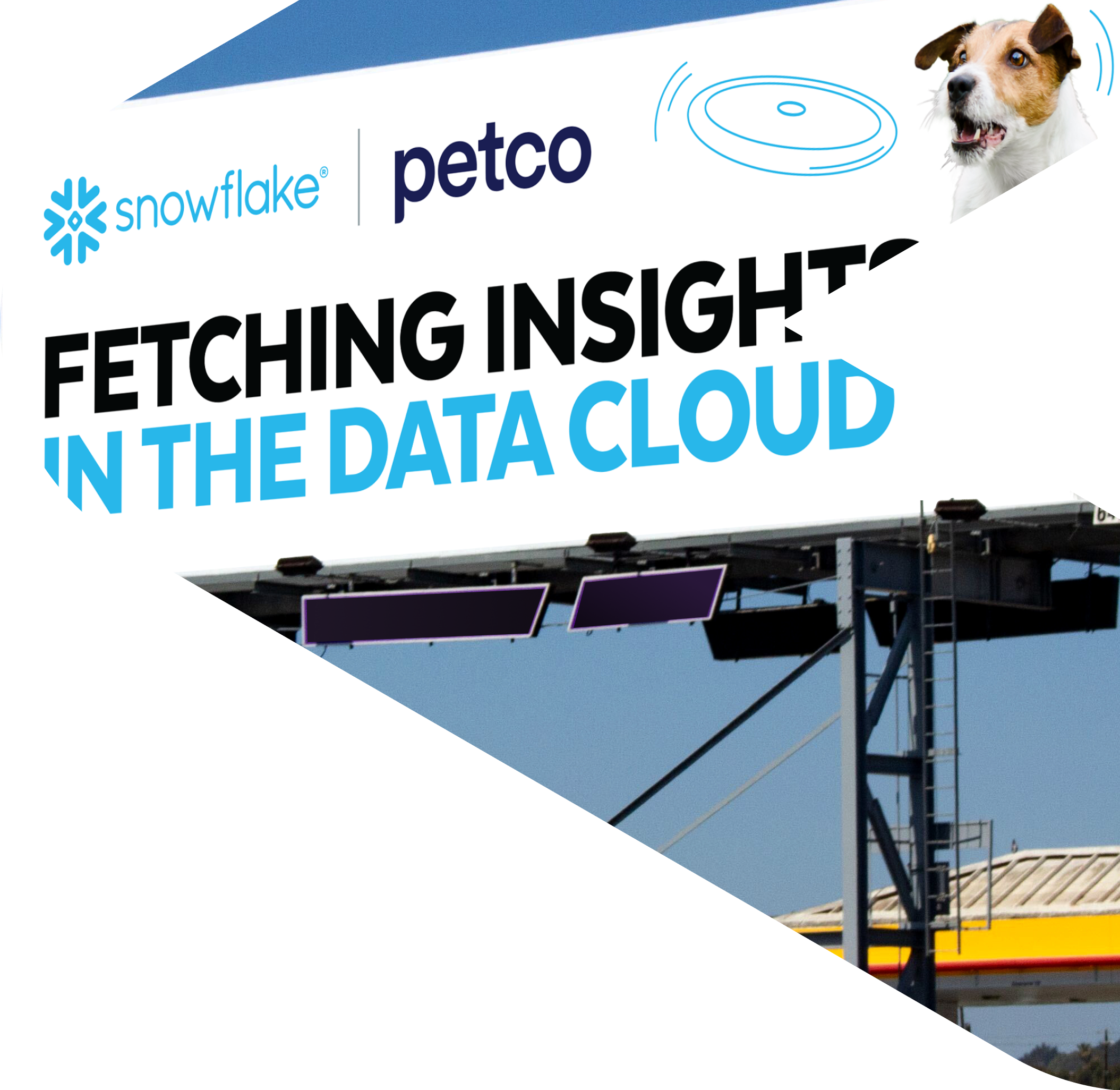 Petco billboard
