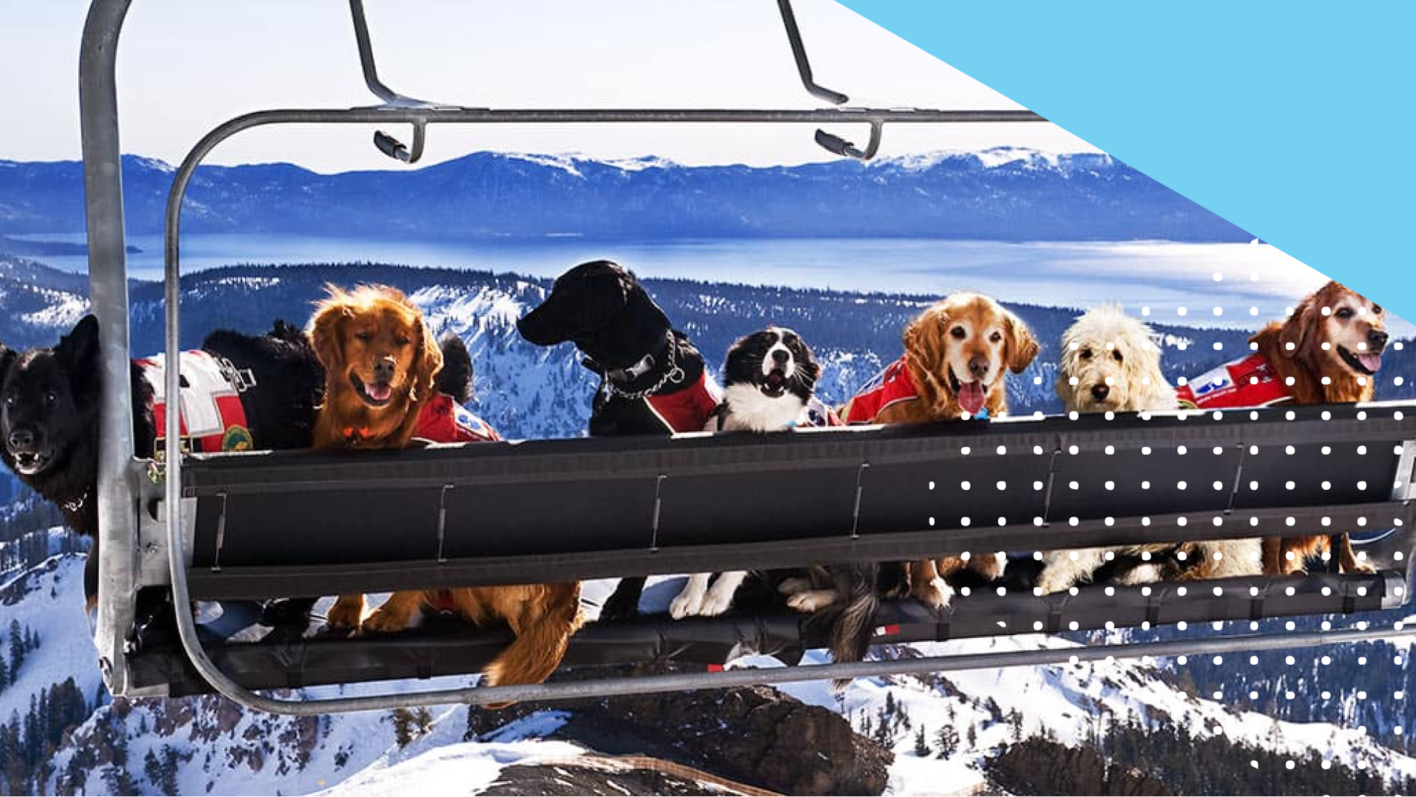 Dogs sitting on a ski lift with mountain in the background