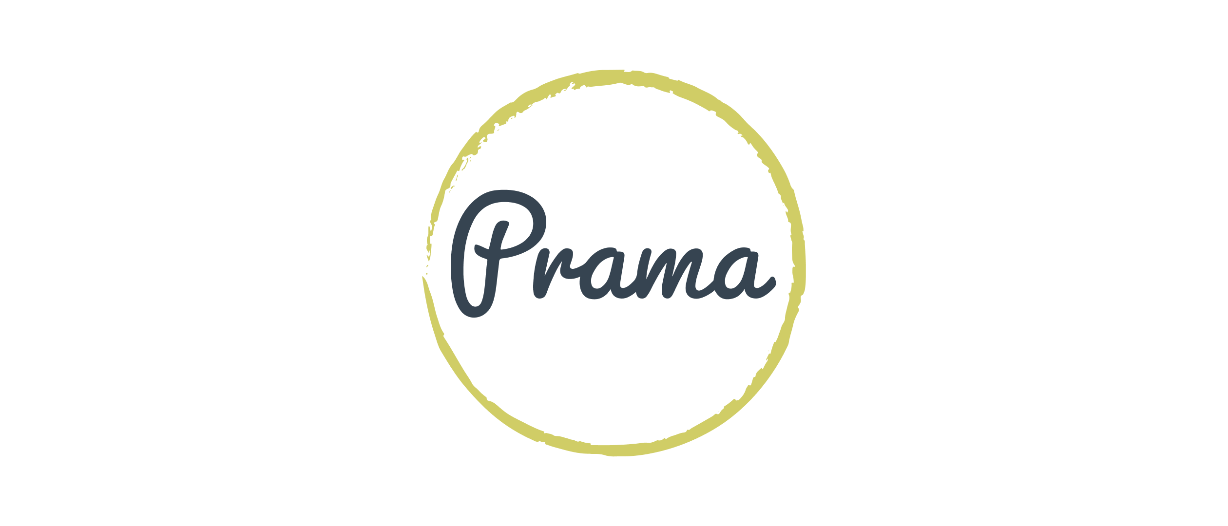 Prama Services LLC