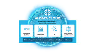 Snowflake Horizon platform diagram