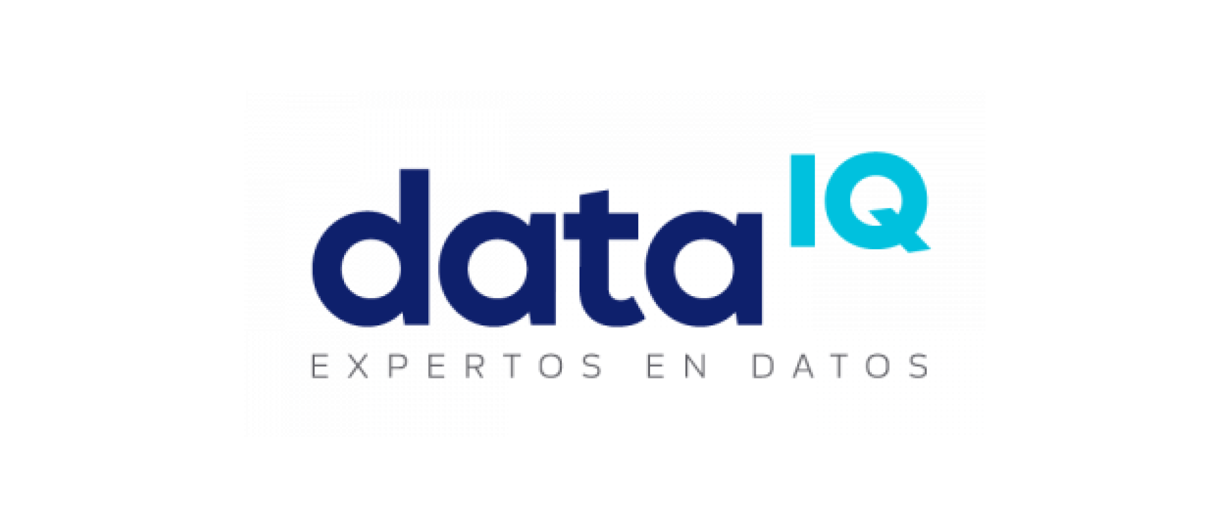 Data IQ S.A de C.V.