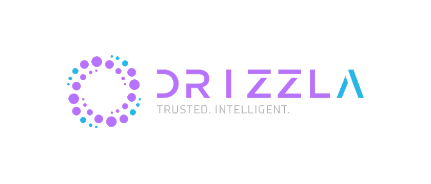 Drizzla Digital Solutions