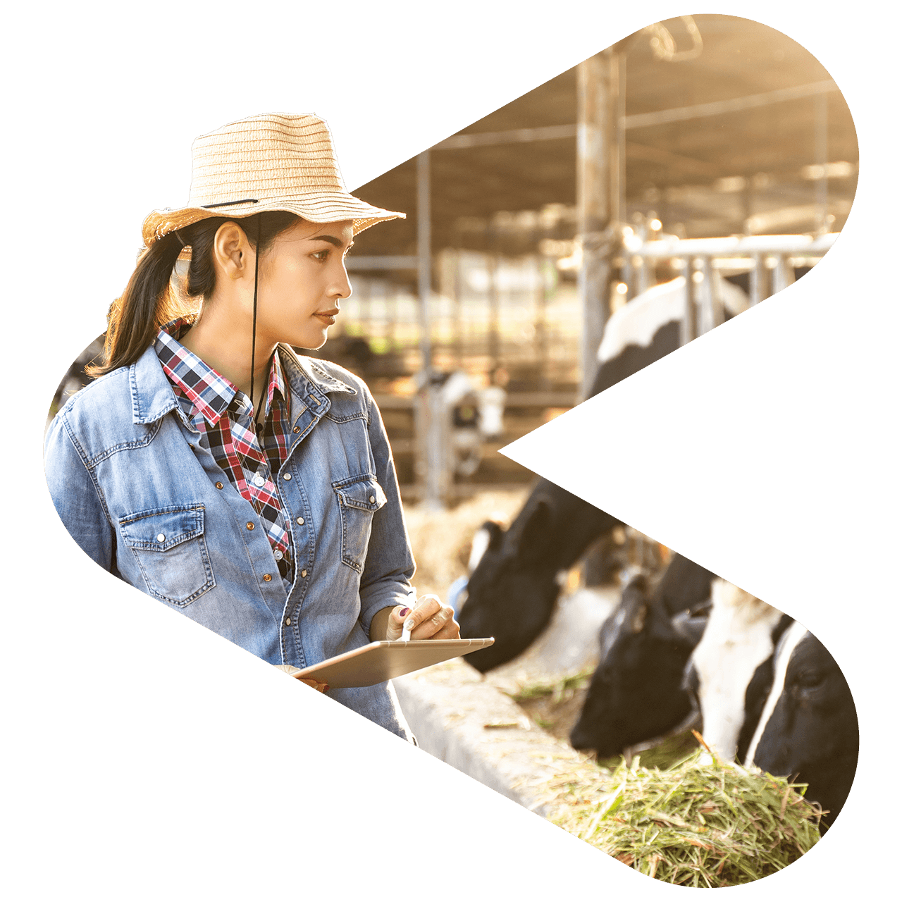 customer-story-hero-image-alt