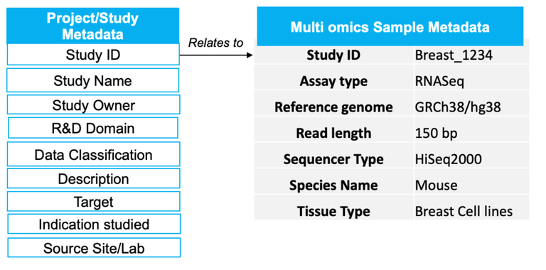 Science Metadata Examples Snowflake and the Pursuit of Precision Medicine | Blog