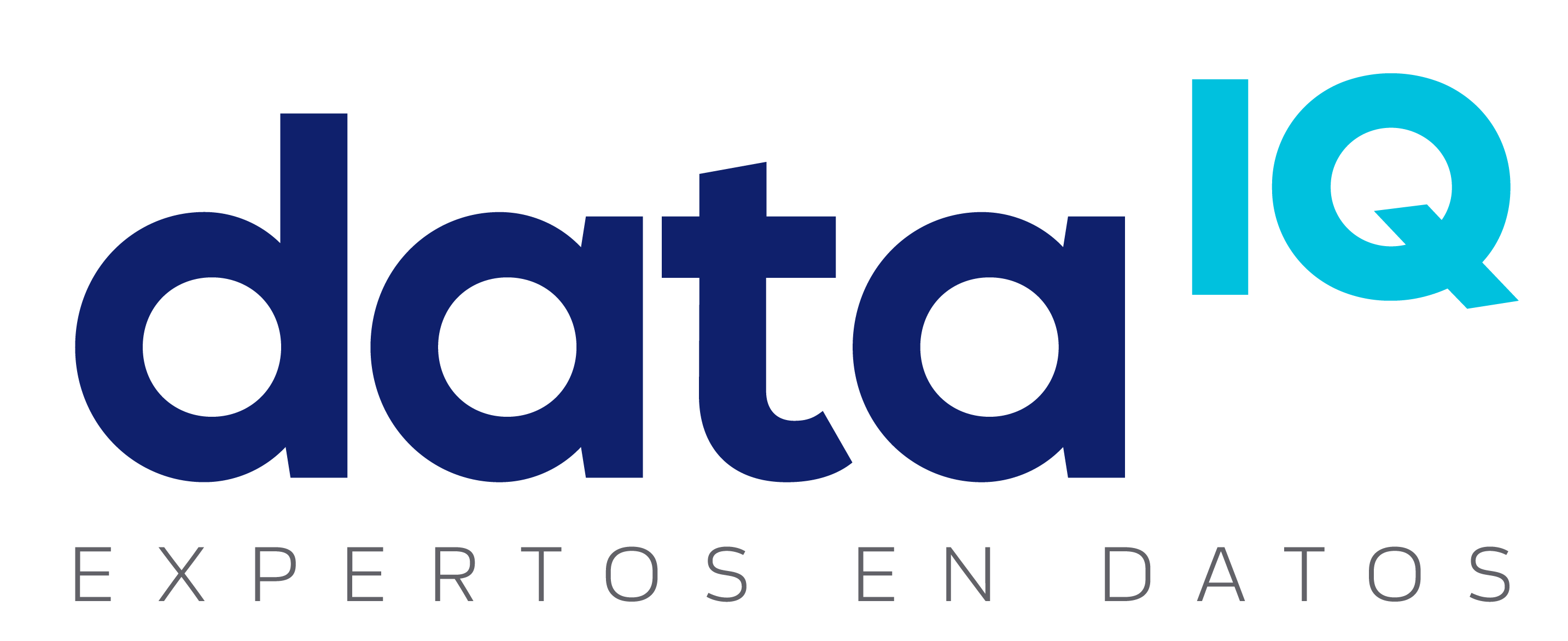 DataIQ's Logo