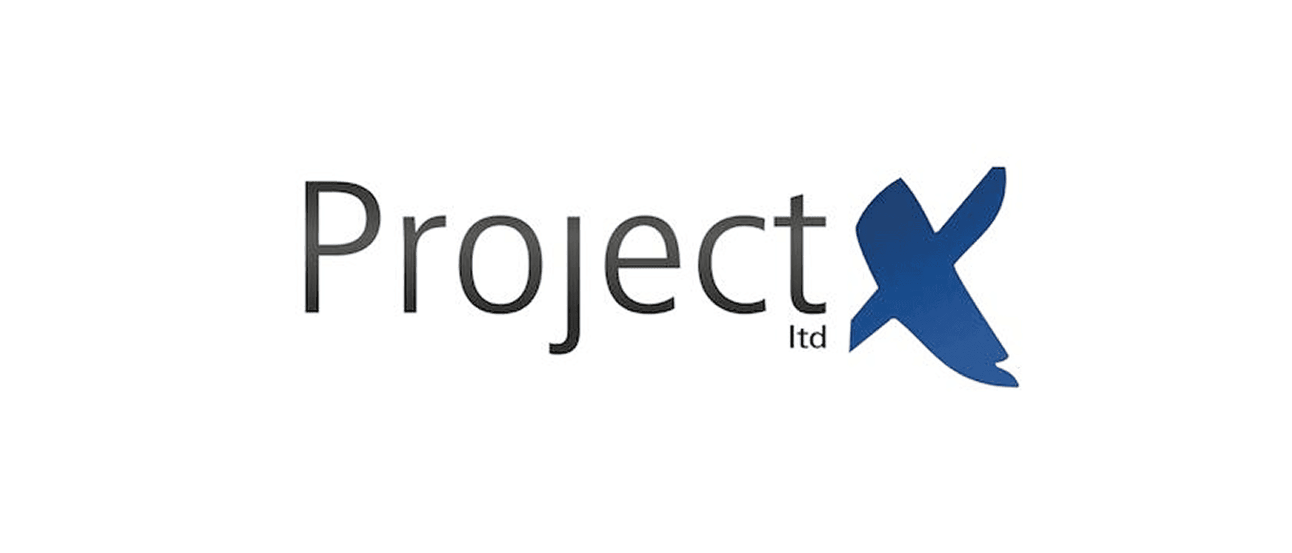 Project X Ltd