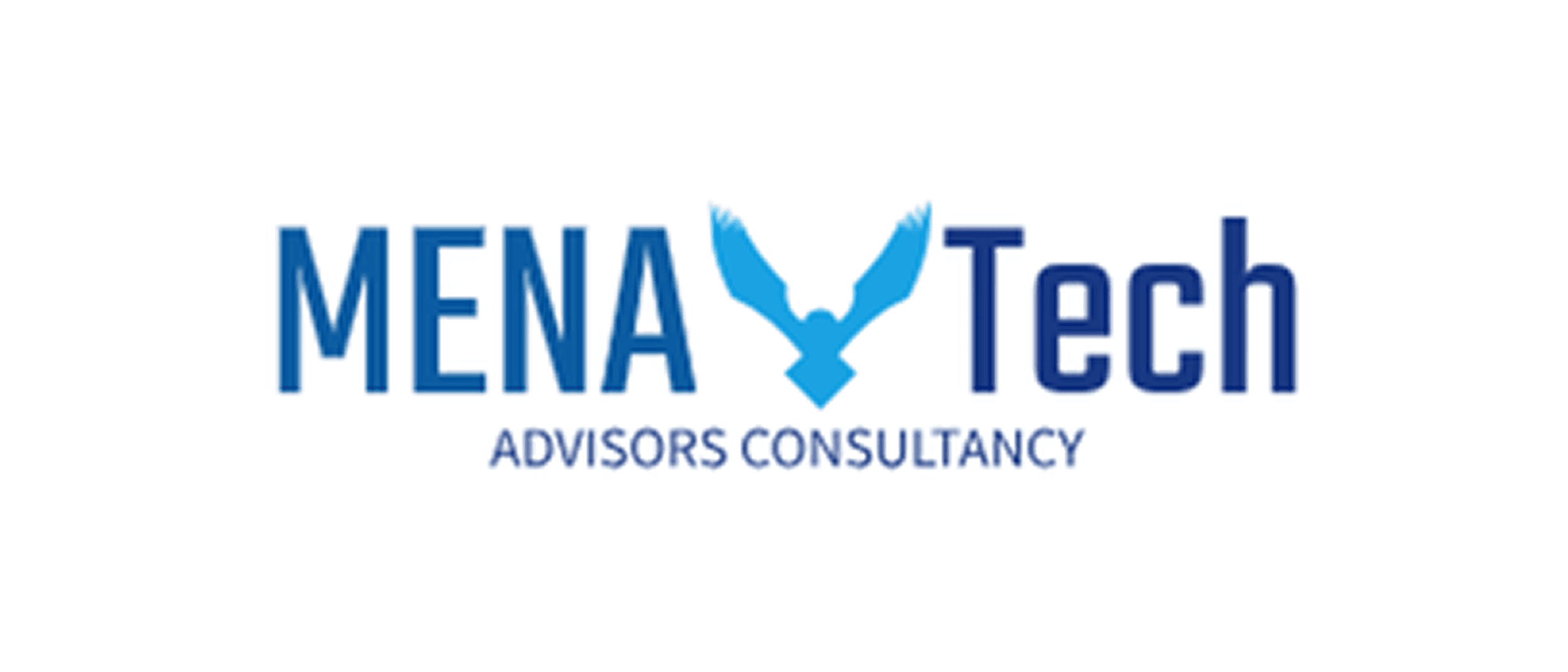 Mena tech AI LLC