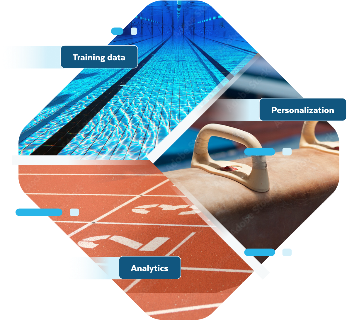 snowflake-olympic-gold-standard-athletes-fans