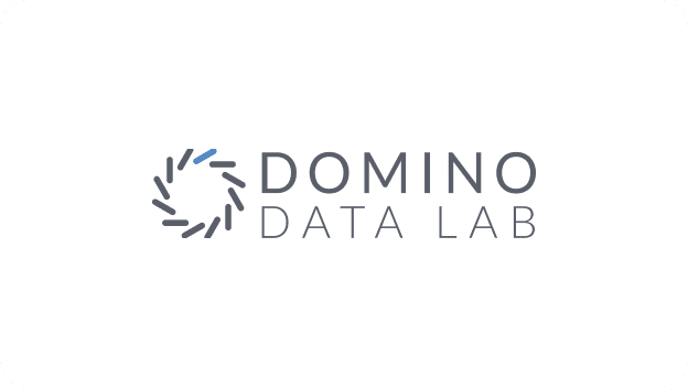 Domino data lab