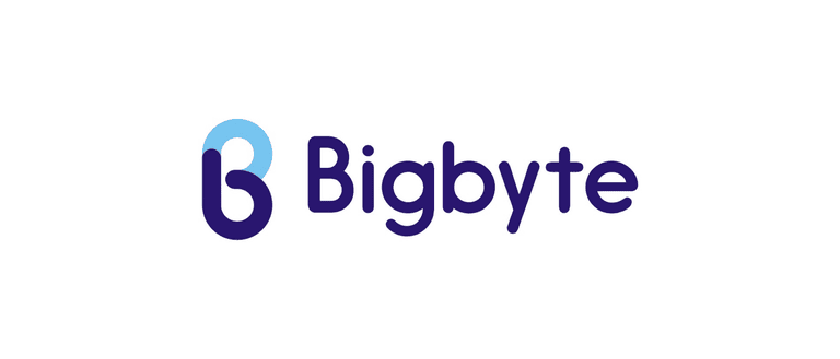 Big Byte Corporation | Snowflake Partners