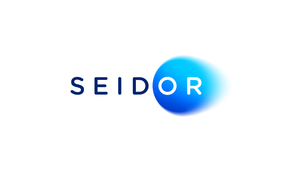 Seidor Consulting SL
