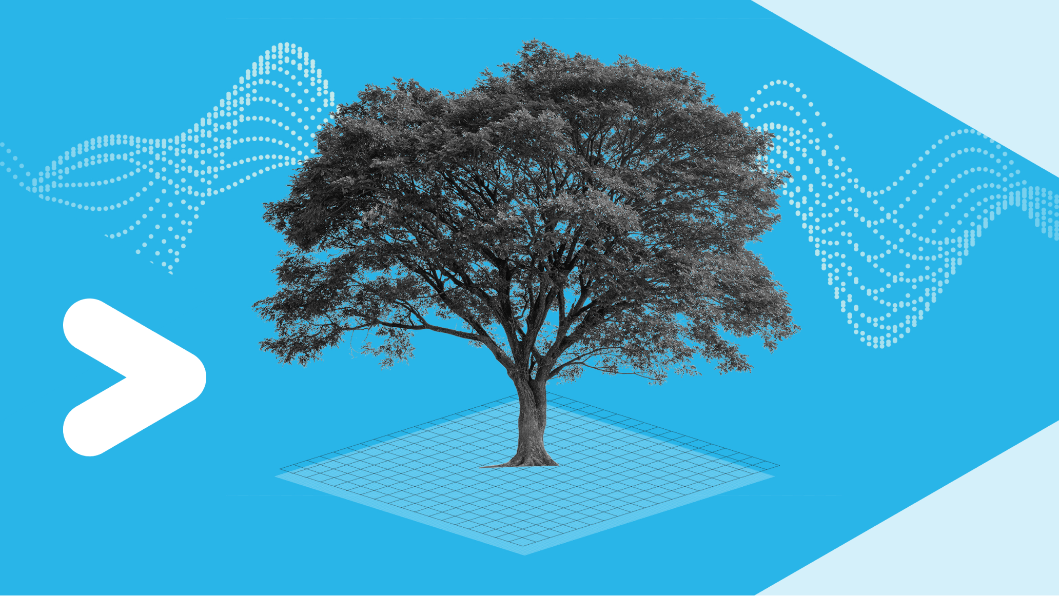 a tree on a blue background