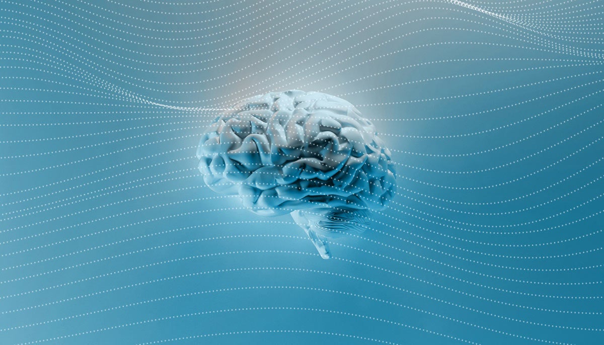 Four Questions to Consider When Navigating the Rapid Evolution of Generative AI