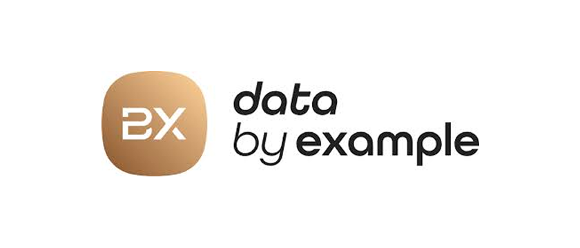 Data by Example