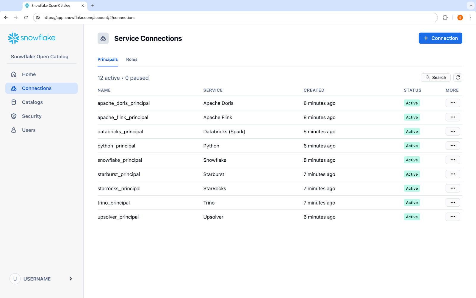 Screenshot of Snowflake Open Catalog