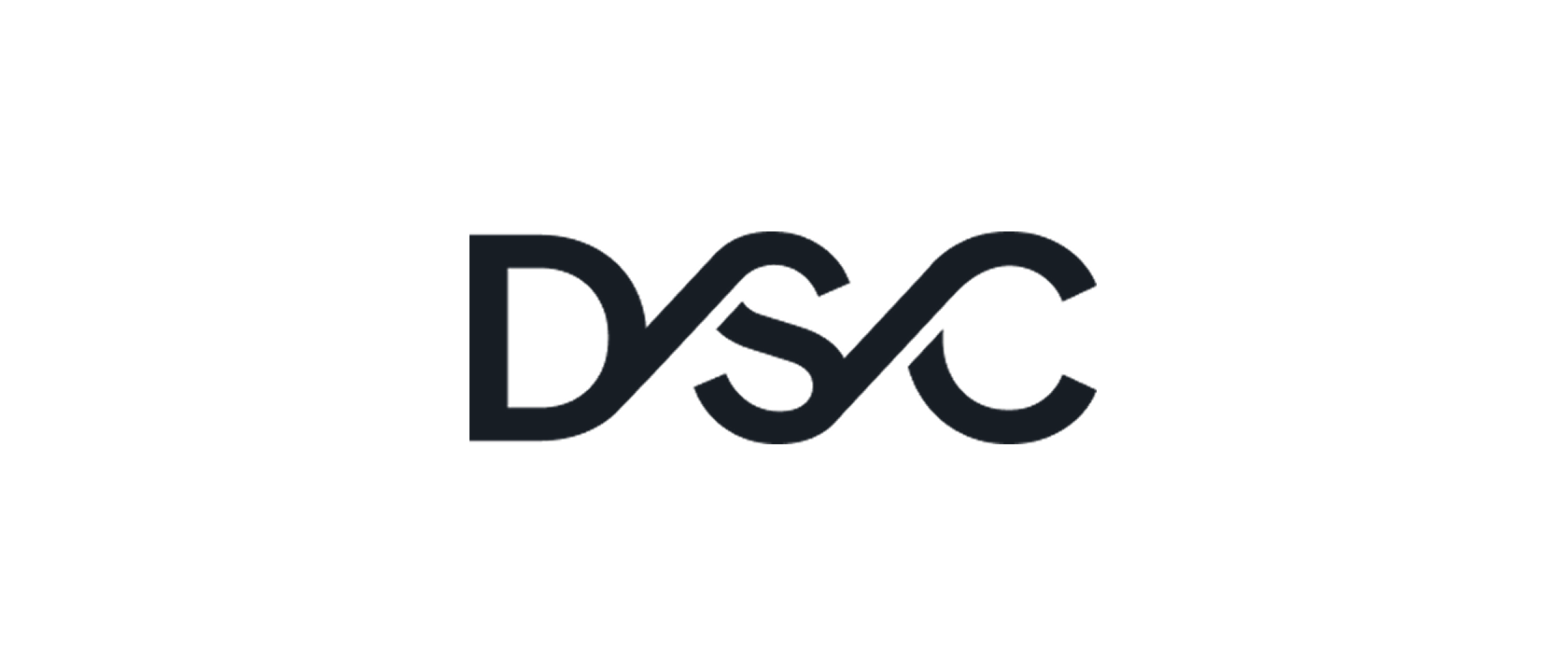 Data Solutions Consulting Inc. logo