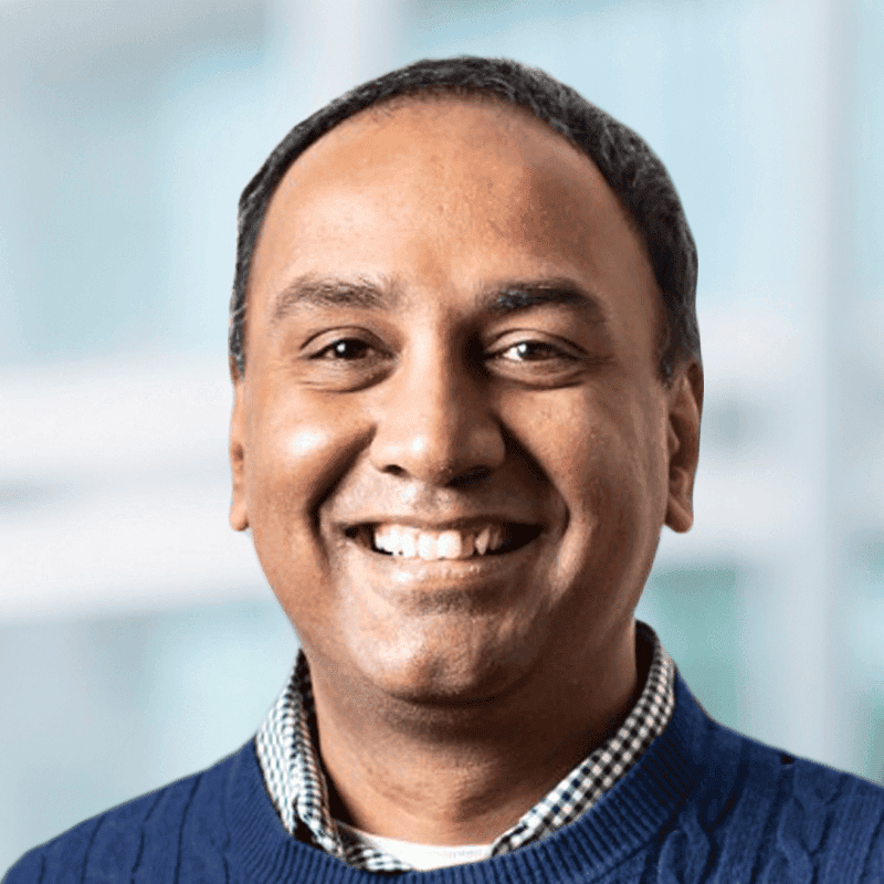 Vivek Raghunathan