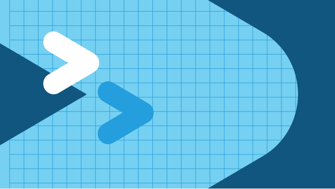 graphic with snowflake logo motif and dark blue grid pattern