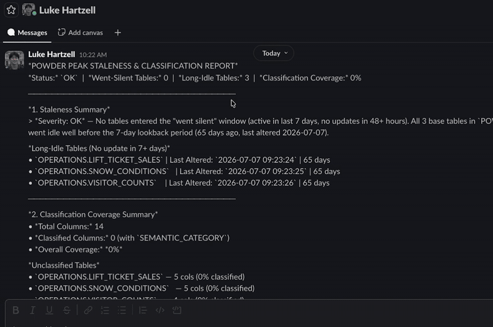 A staleness and classification report delivered as a Slack message.