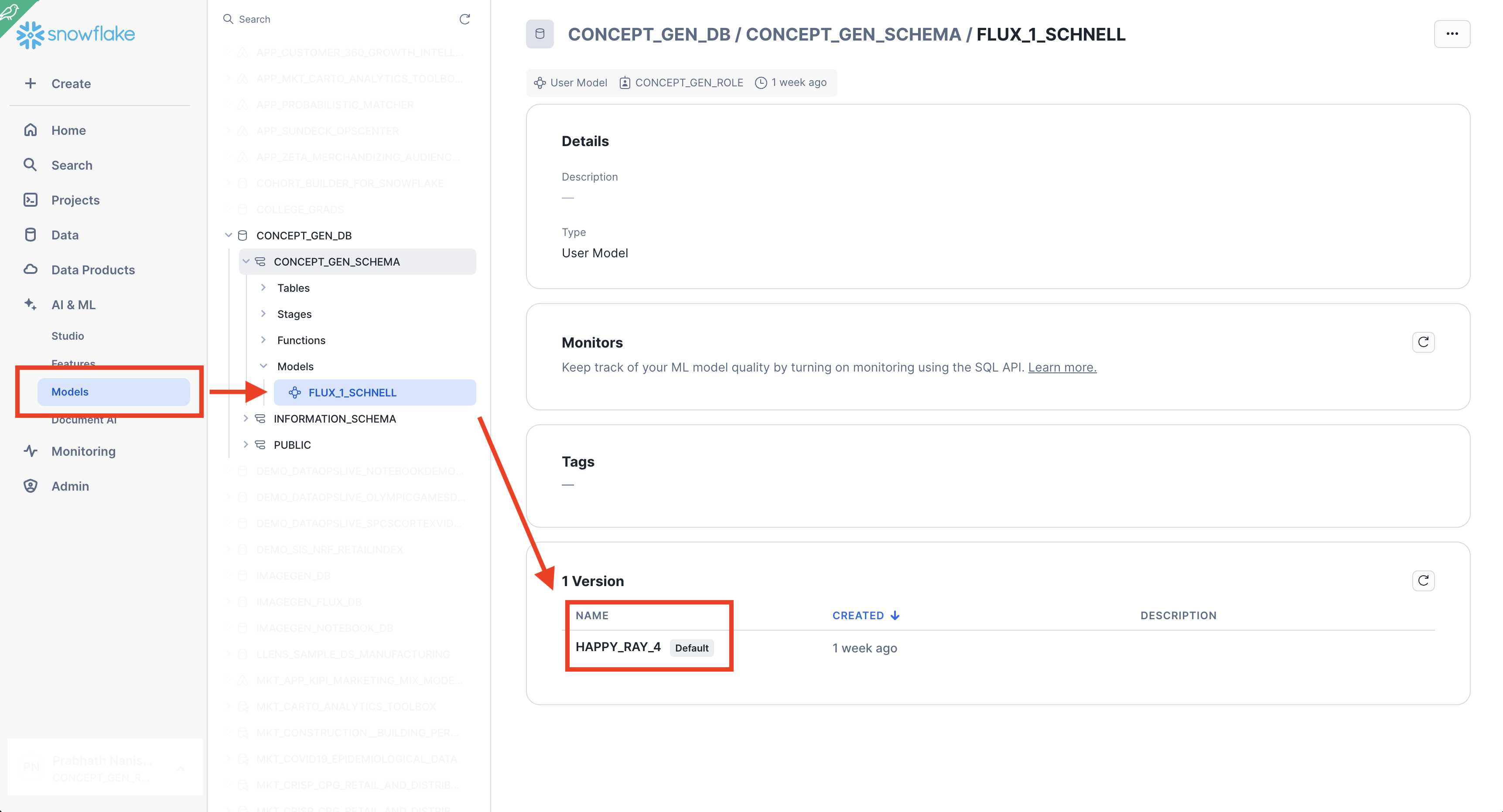 Obtaining the Model Version