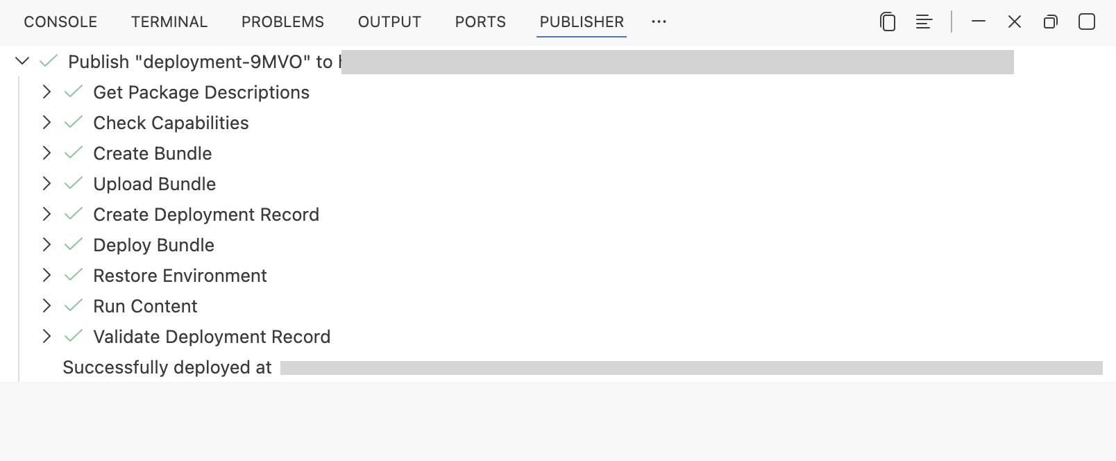 The Publisher panel in Positron showing a completed deployment, with green checkmarks beside every step from Get Package Descriptions through Validate Deployment Record, and a "Successfully deployed at" line at the bottom