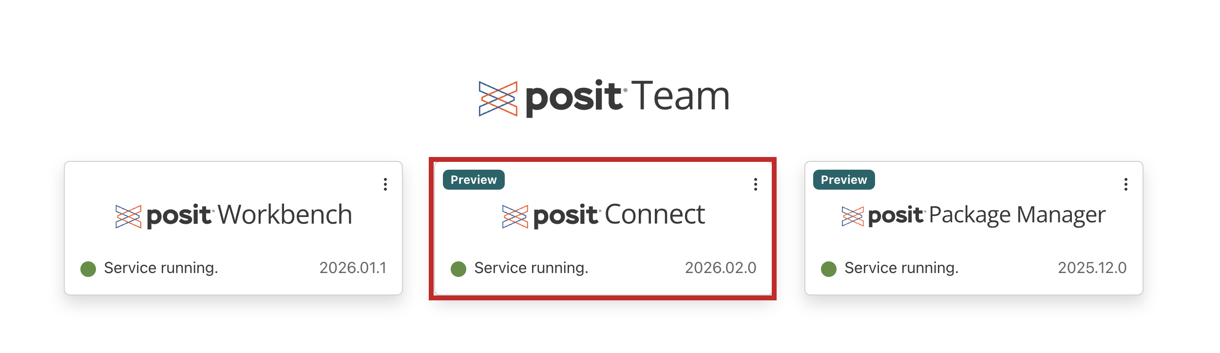 The Posit Team landing page with three service tiles, Posit Workbench, Posit Connect, and Posit Package Manager, each showing "Service running". The Connect tile is highlighted