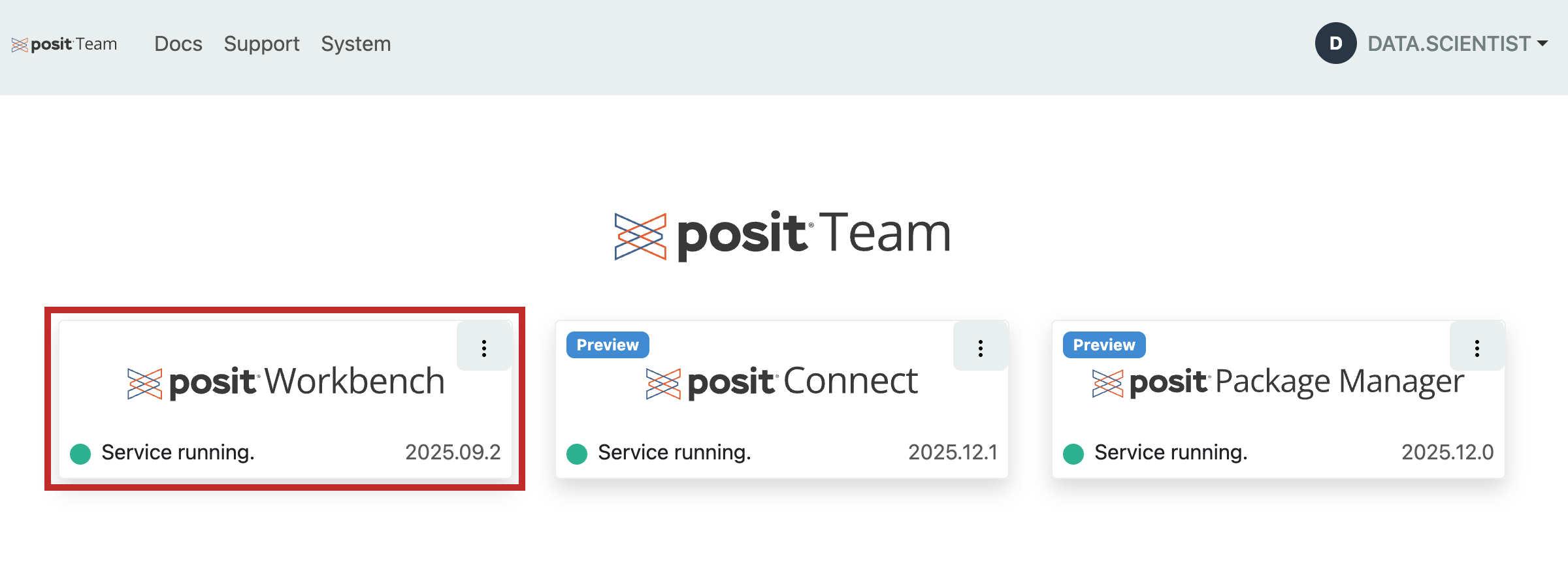 The Posit Team landing page with three service tiles, Posit Workbench, Posit Connect, and Posit Package Manager, each showing "Service running". The Workbench tile is highlighted