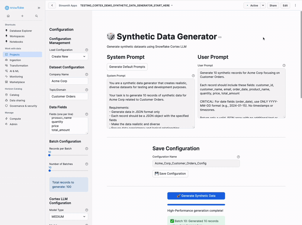 Synthetic Data Generator Demo