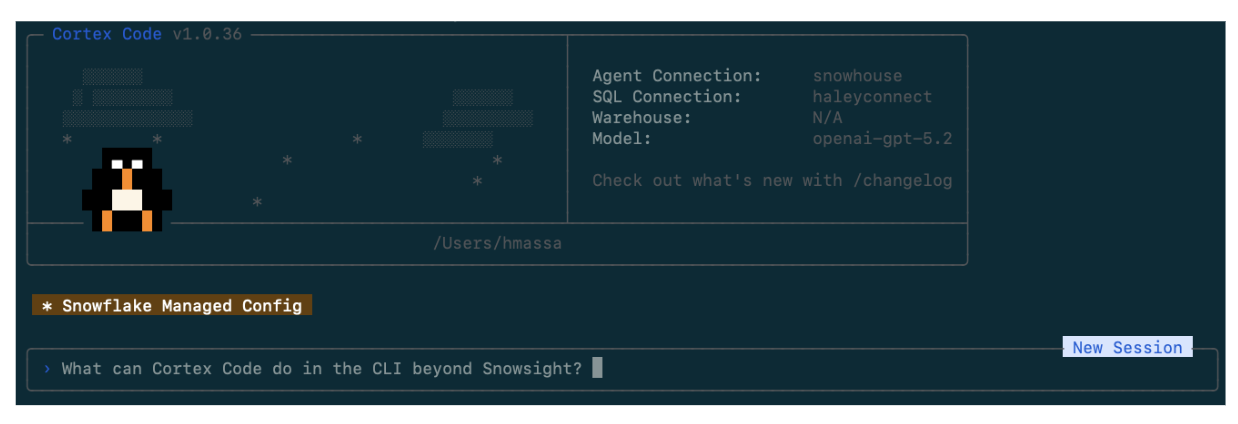 Cortex Code CLI Interface