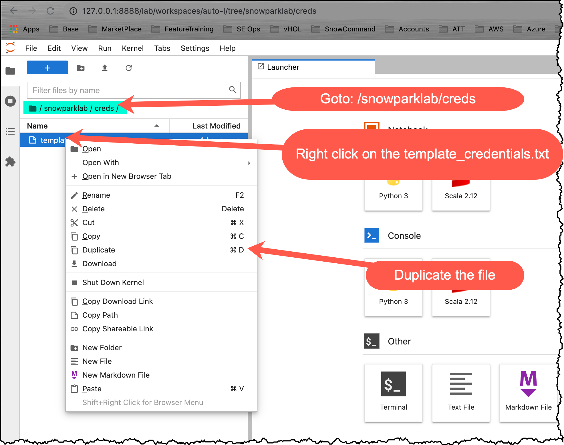 Duplicate Credentials