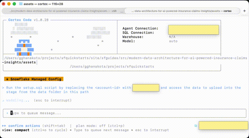 Run Setup Script with CoCo CLI