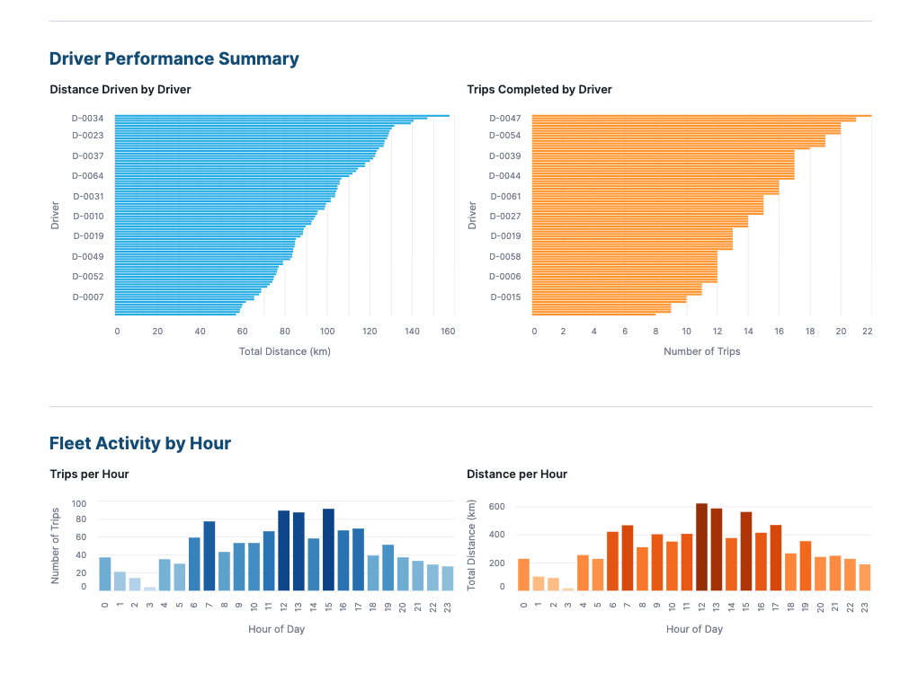 Driver Performance Summary