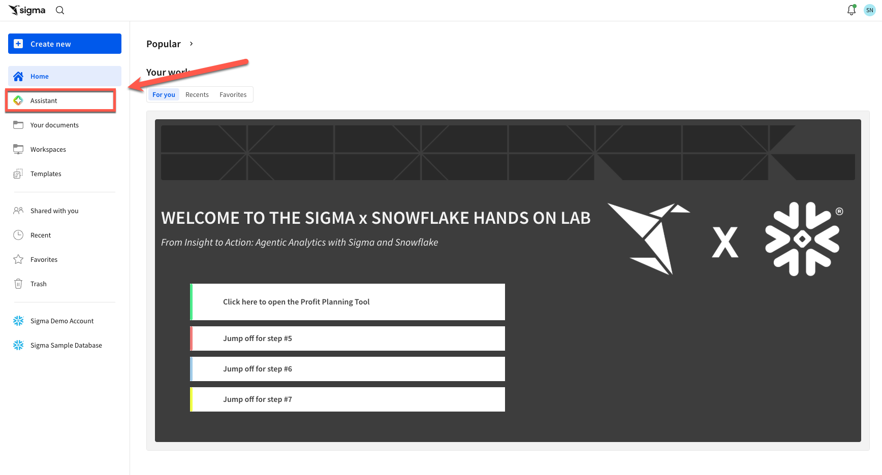 Sigma Assistant