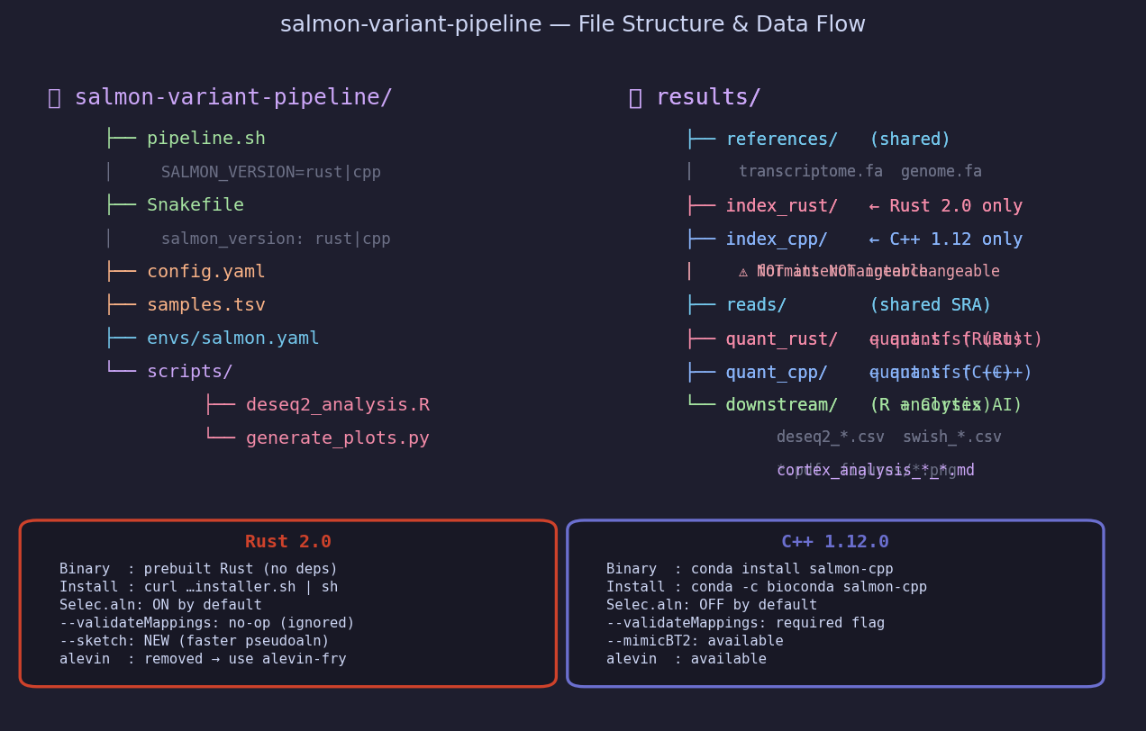Code structure and version comparison