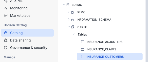 Insurance tables in LDEMO.PUBLIC schema
