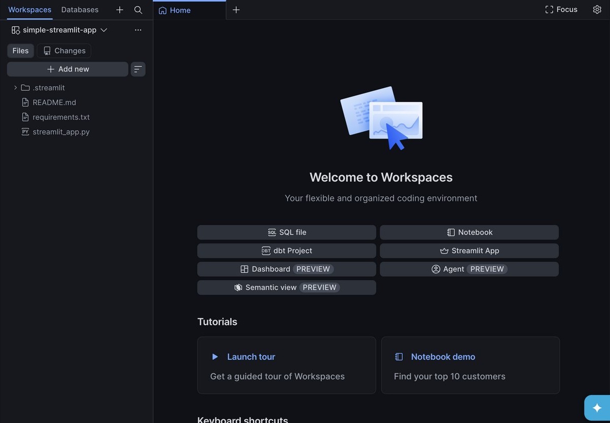 New simple-streamlit-app workspace with .streamlit, README.md, requirements.txt and streamlit_app.py in the file tree
