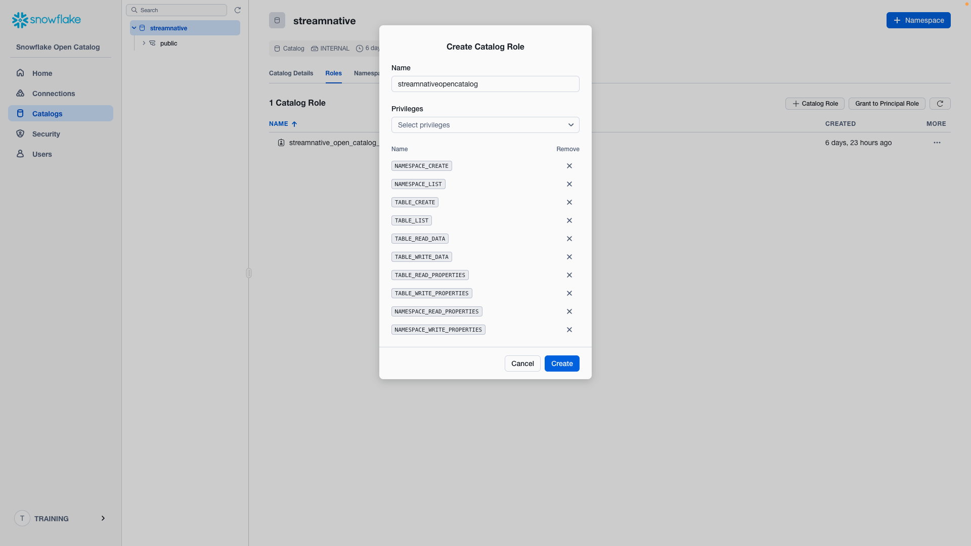 Catalog Role Permissions
