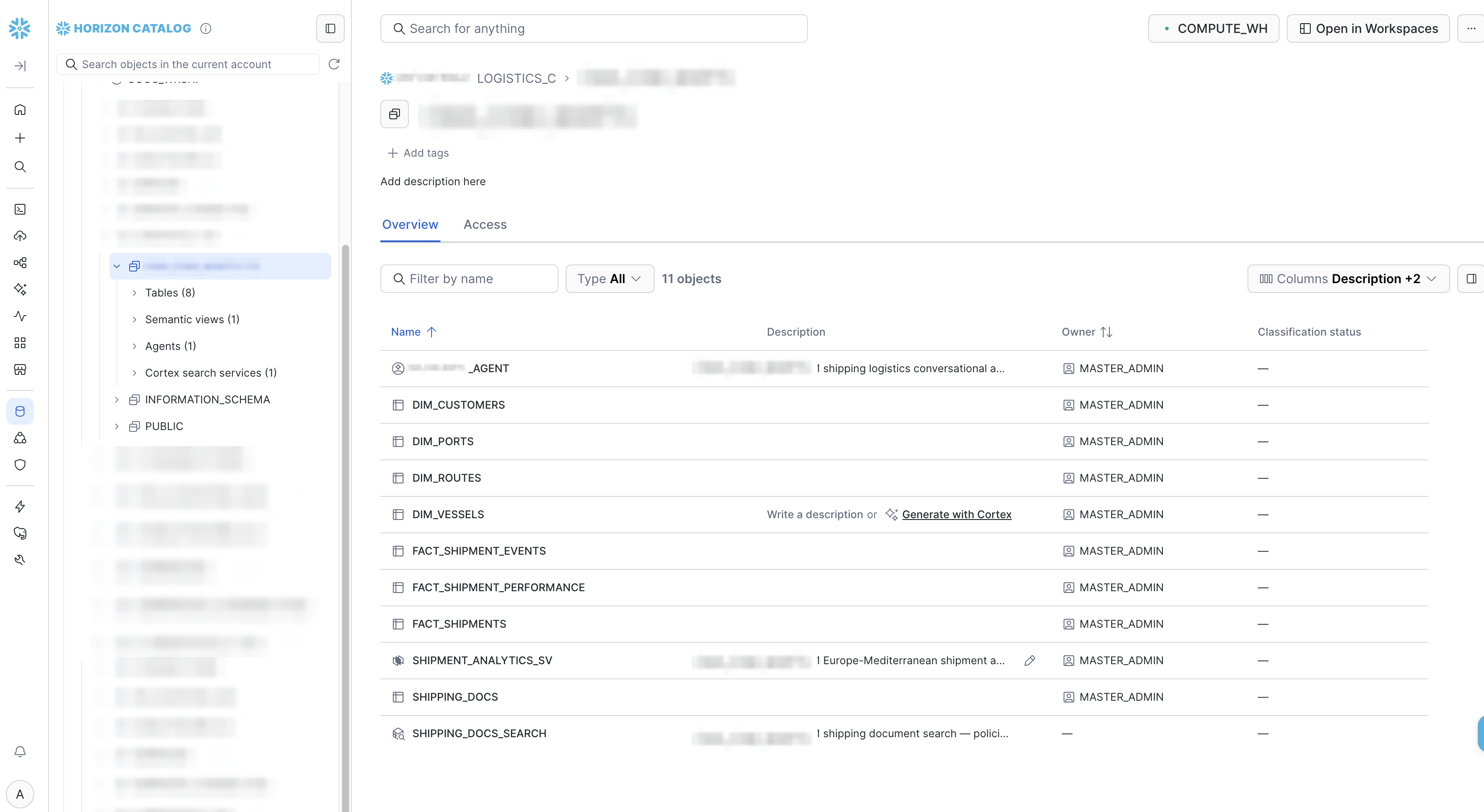 Database and schema overview in Snowsight