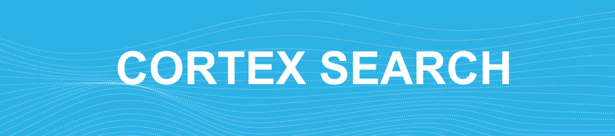 ./assets/cortex_search_header.png